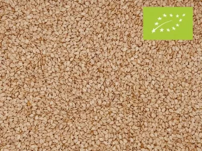 Sesamzaad wit biologisch