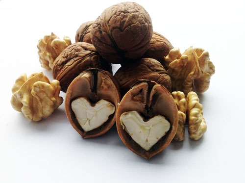 Walnoten in dop en losse walnoten. Twee walnoten in dop zijn open gekraakt, waarbij de noten in de vorm van een hartje zijn.